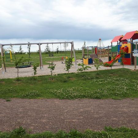 Gite Terre D'Helene 4 A 5 Pers Proche Strasbourg 42 M2, 3 Etoiles, Wifi, Paisible, Jardin, Proche Commerces,16 Atouts, Animaux Acceptes Berstett Buitenkant foto
