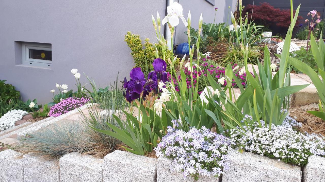 Gite Terre D'Helene 4 A 5 Pers Proche Strasbourg 42 M2, 3 Etoiles, Wifi, Paisible, Jardin, Proche Commerces,16 Atouts, Animaux Acceptes Berstett Buitenkant foto