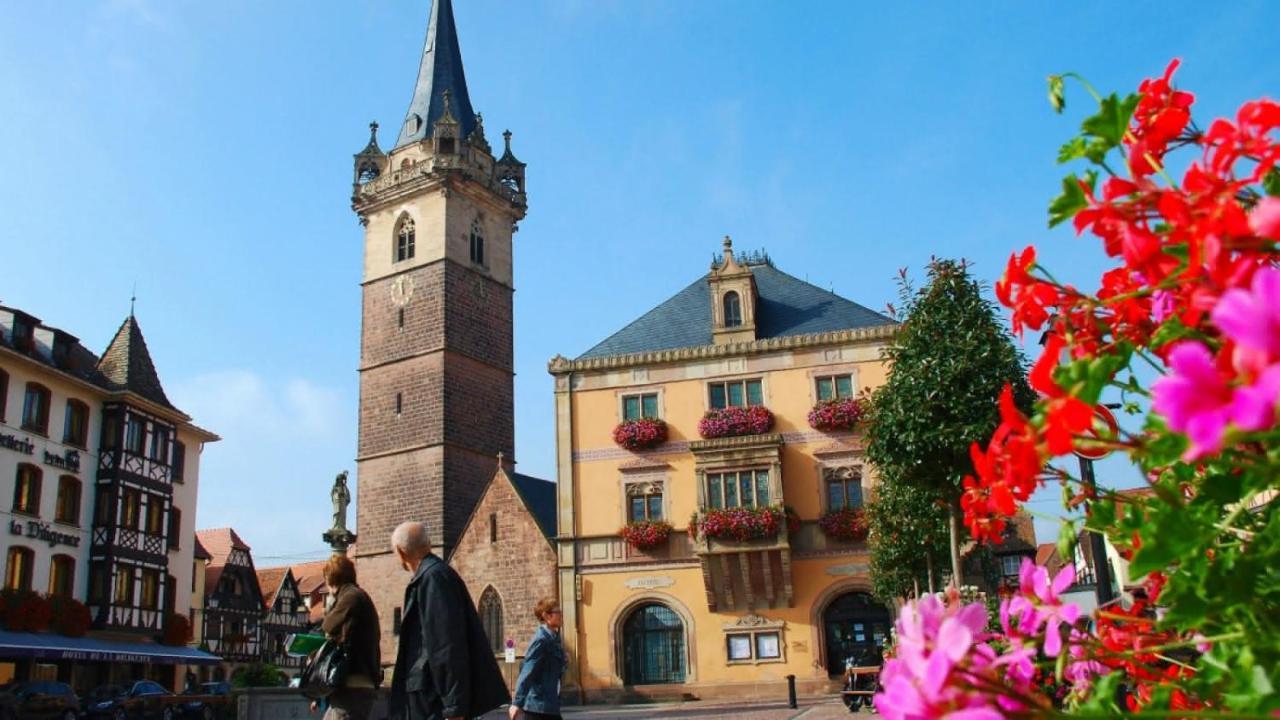 Gite Terre D'Helene 4 A 5 Pers Proche Strasbourg 42 M2, 3 Etoiles, Wifi, Paisible, Jardin, Proche Commerces,16 Atouts, Animaux Acceptes Berstett Buitenkant foto