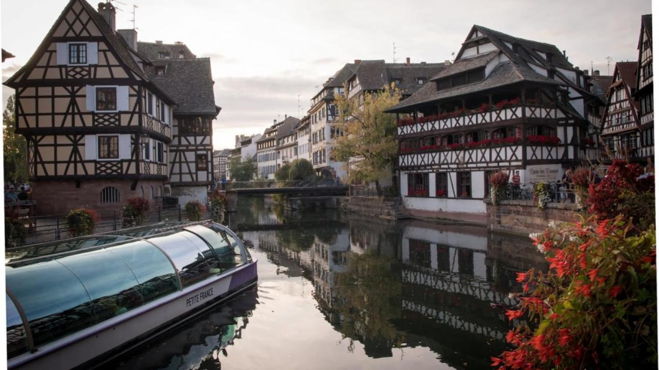 Gite Terre D'Helene 4 A 5 Pers Proche Strasbourg 42 M2, 3 Etoiles, Wifi, Paisible, Jardin, Proche Commerces,16 Atouts, Animaux Acceptes Berstett Buitenkant foto