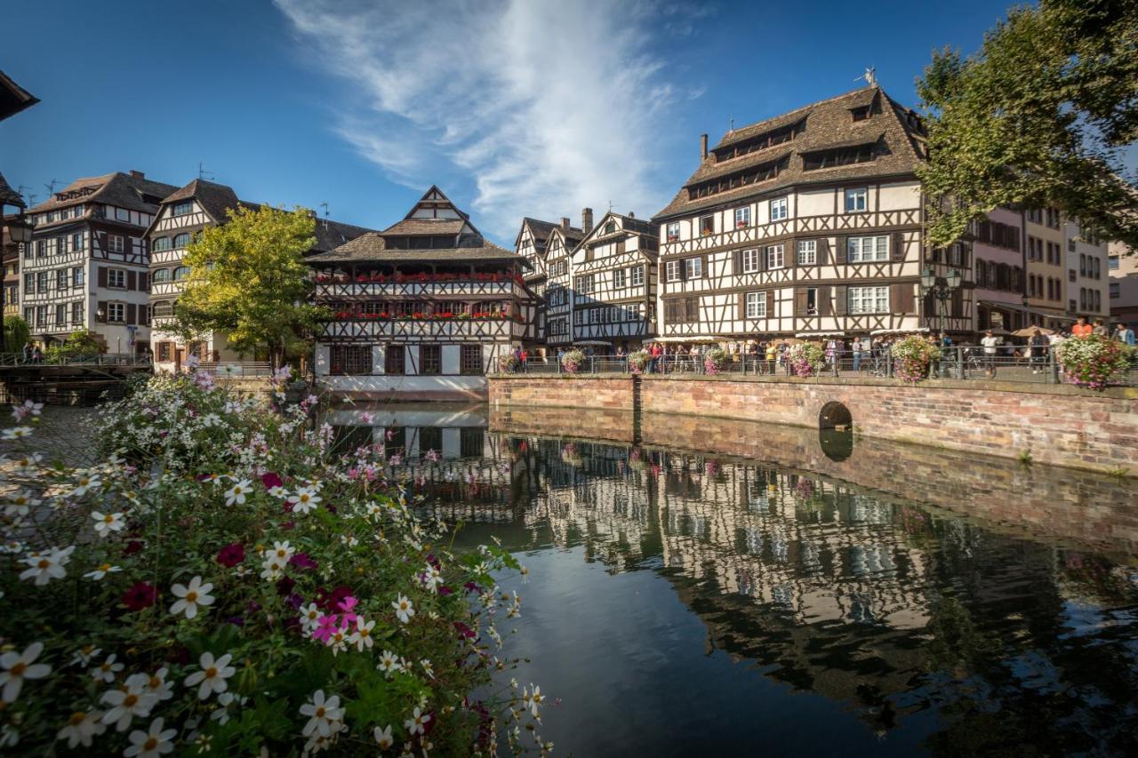 Gite Terre D'Helene 4 A 5 Pers Proche Strasbourg 42 M2, 3 Etoiles, Wifi, Paisible, Jardin, Proche Commerces,16 Atouts, Animaux Acceptes Berstett Buitenkant foto