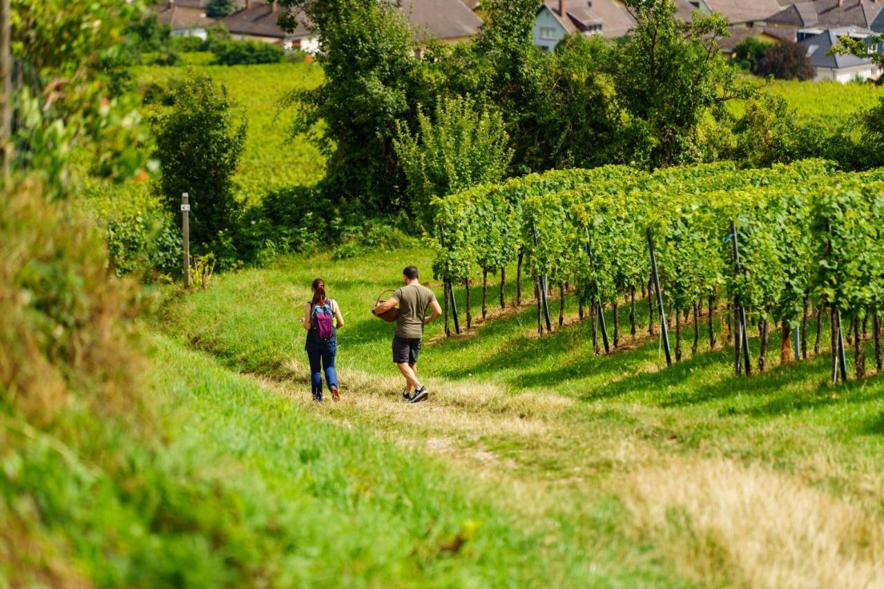 Gite Terre D'Helene 4 A 5 Pers Proche Strasbourg 42 M2, 3 Etoiles, Wifi, Paisible, Jardin, Proche Commerces,16 Atouts, Animaux Acceptes Berstett Buitenkant foto
