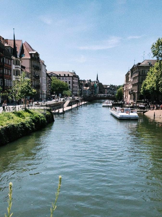 Gite Terre D'Helene 4 A 5 Pers Proche Strasbourg 42 M2, 3 Etoiles, Wifi, Paisible, Jardin, Proche Commerces,16 Atouts, Animaux Acceptes Berstett Buitenkant foto