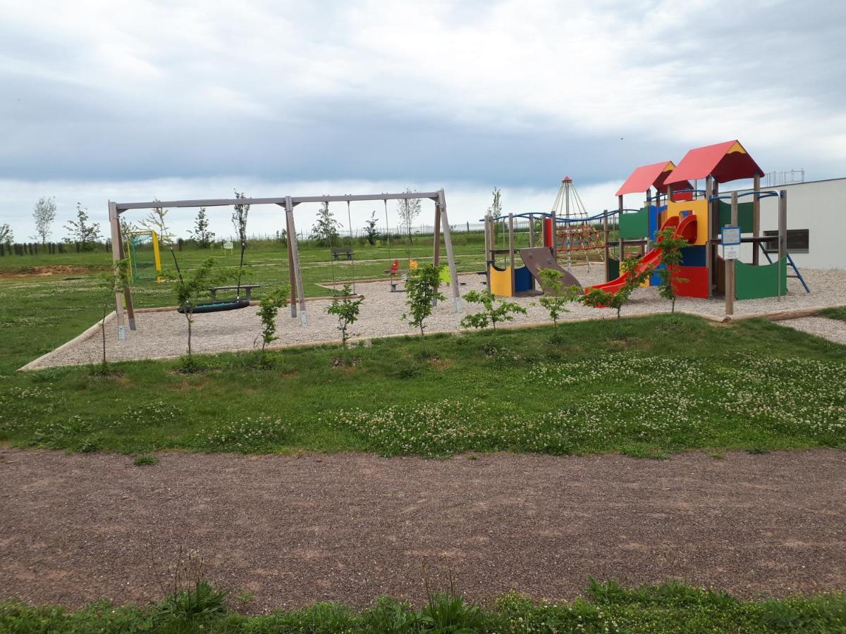 Gite Terre D'Helene 4 A 5 Pers Proche Strasbourg 42 M2, 3 Etoiles, Wifi, Paisible, Jardin, Proche Commerces,16 Atouts, Animaux Acceptes Berstett Buitenkant foto